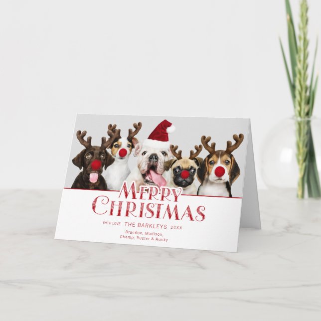 Cute Dog Merry Christmas Typography | Photo Card (Front)