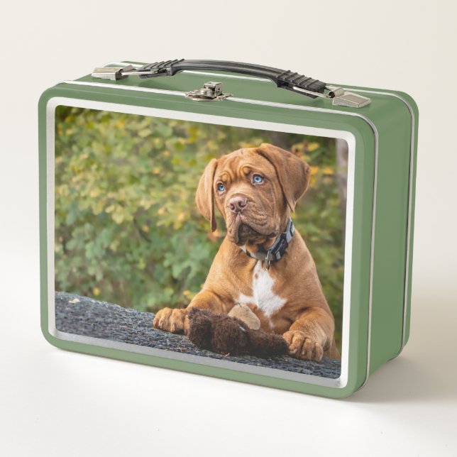 Cute Dog Metal Lunch Box (Front)