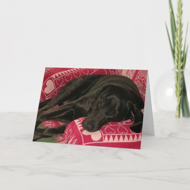 Cute Dog "Miss You" Greeting Card (Front)