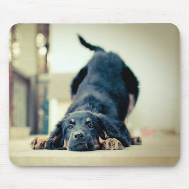 Cute dog mouse pad (Front)