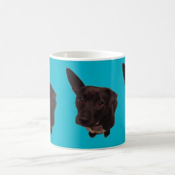 Cute Dog Mug by Mikeybillz at Zazzle