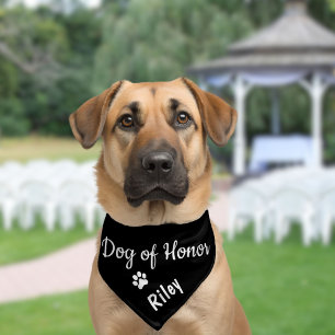 Cute Dog of Honor Black Wedding Pet Bandana Collar