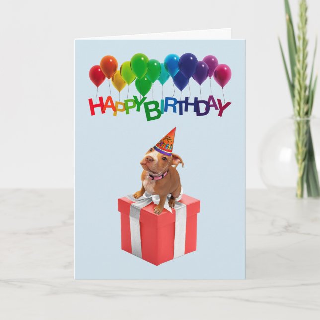 Cute Dog On Gift Box Birthday Card (Front)