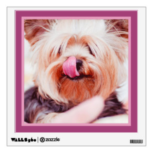 Cute Dog or YOUR Photo custom wall decal