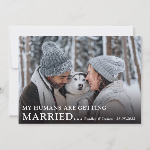 Cute Dog Owners Photo Engagement Wedding  Save The Date