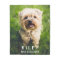 Cute Dog Personalized Pet Photo Custom