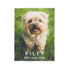 Cute Dog Personalized Pet Photo Custom