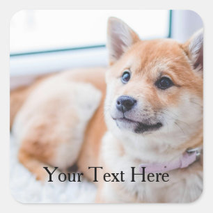 Cute Dog Personalized Photo and Text Square Sticker