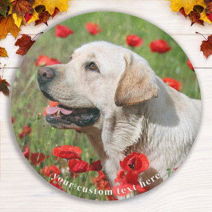Cute Dog Personalized Simple Pet Photo Outdoor Rug