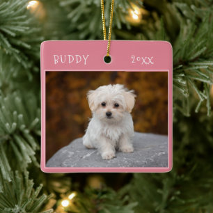 Cute Dog Pet 2 Photos Christmas Ceramic Ornament