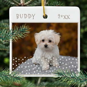 Cute Dog Pet 2 Photos Star Pattern Christmas Ceramic Ornament