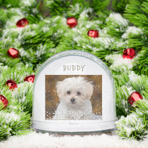 Cute Dog Pet 2 Photos Star Pattern Christmas Snow Globe