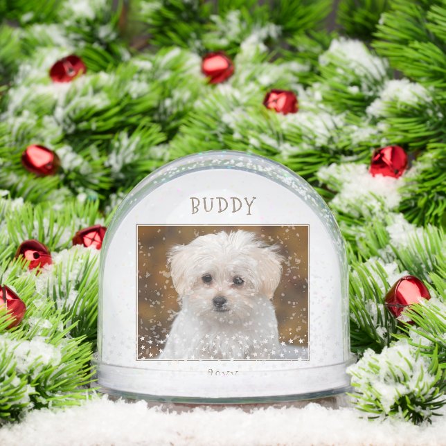 Cute Dog Pet 2 Photos Star Pattern Christmas Snow Globe (Christmas)