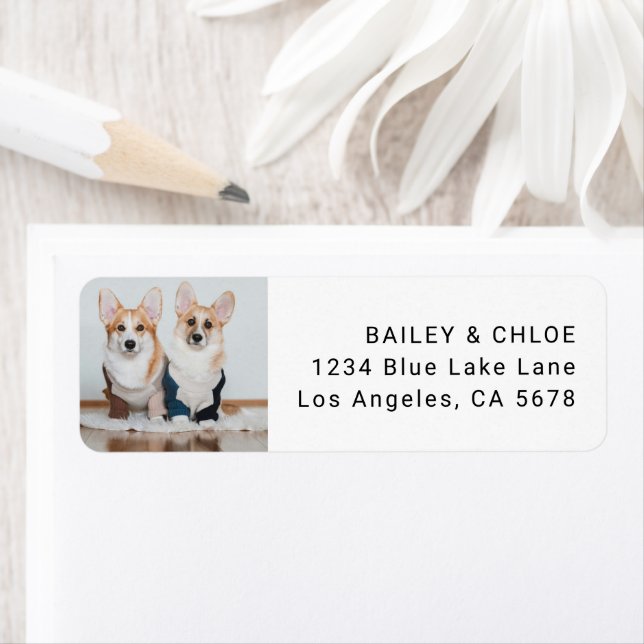 Cute Dog Pet Photo Address  Label (Insitu)