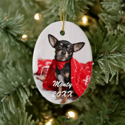 Cute Dog Pet Photo Ceramic Ornament