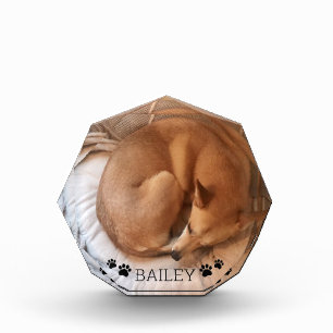 Cute Dog Pet Photo Name Pawprints Gemstone Block
