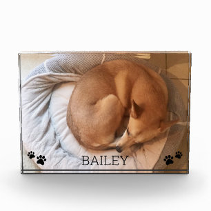 Cute Dog Pet Photo Name Pawprints Photo Block