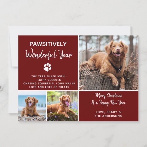 Cute Dog Pet Photo Quarantine Pandemic Christmas Holiday Card