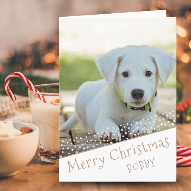 Cute Dog Pet Photo Stars Merry Christmas  Holiday Card (Creator Uploaded)