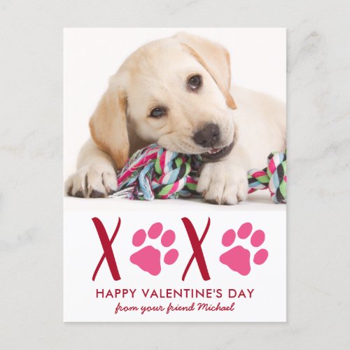Cute Dog Pet Photo Valentines Day Holiday Card