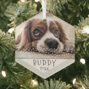 Cute Dog Pet Photo White Stars Christmas Glass Ornament