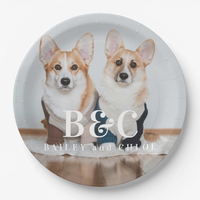 Cute Dog Pet Photo with Name Paper Plates (Front)