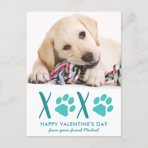 Cute Dog Pet Photo XOXO Valentines Day Card