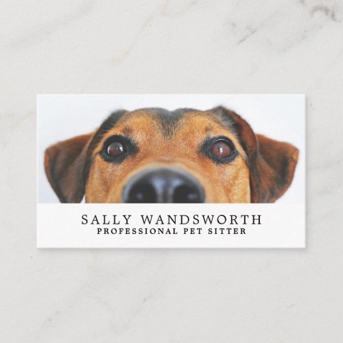 Cute Dog Pet Sitter Business Card