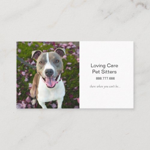 Cute Dog Pet Sitting and Services Business Card