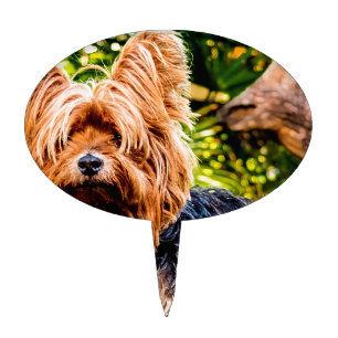 Cute Dog Pet Yorkie Peace Love Destiny Fun Art Cake Topper