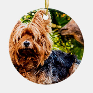 Cute Dog Pet Yorkie Peace Love Destiny Fun Art Ceramic Ornament