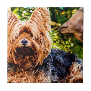 Cute Dog Pet Yorkie Peace Love Destiny Fun Art Ceramic Tile