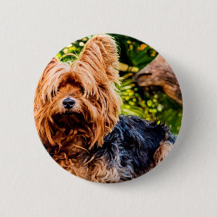 Cute Dog Pet Yorkie Peace Love Destiny Fun Art Pinback Button