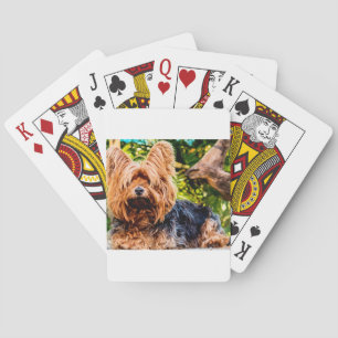Cute Dog Pet Yorkie Peace Love Destiny Fun Art Poker Cards