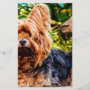 Cute Dog Pet Yorkie Peace Love Destiny Fun Art Stationery