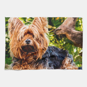 Cute Dog Pet Yorkie Peace Love Destiny Fun Art Towel