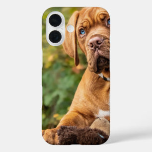 Cute Dog Phone Case