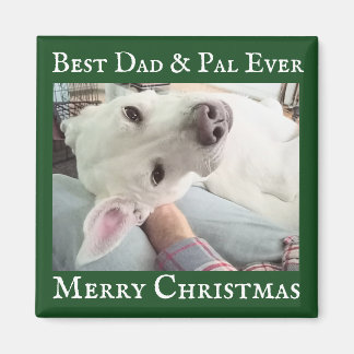 Cute Dog Photo Best Dad Pal Green and White Magnet