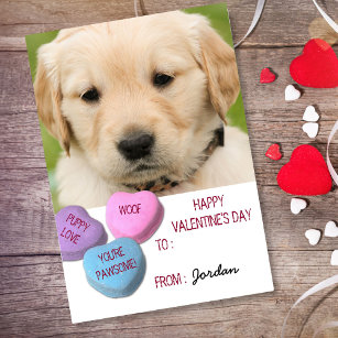Cute Dog Photo Classroom Valentine Candy Hearts Holiday Postcard