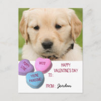 Cute Dog Photo Classroom Valentine Candy Hearts Holiday Postcard