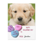 Cute Dog Photo Classroom Valentine Candy Hearts Holiday Postcard Cute Dog Photo Classroom Valentine Candy Hearts Holiday Postcard