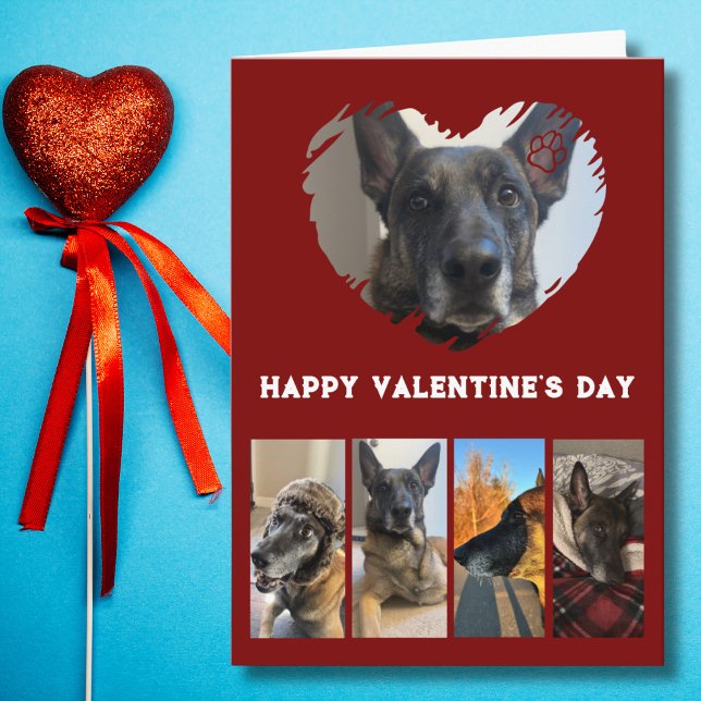 Cute Dog Photo Collage, Simple Red Valentine's Day Card (Creator Uploaded)