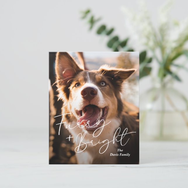 Cute Dog Photo Modern Budget Christmas Card (Standing Front)