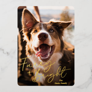 Cute Dog Photo Modern Christmas Foil Holiday Card
