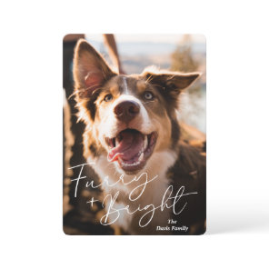 Cute Dog Photo Modern Christmas Holiday Card