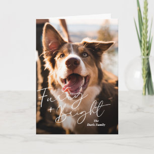 Cute Dog Photo Modern Christmas Holiday Card