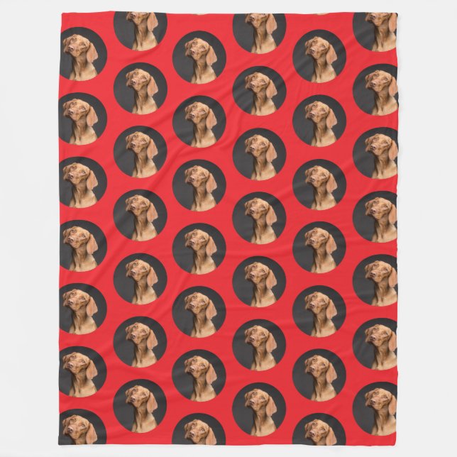 Cute Dog Photo Modern  Fleece Blanket (Front)
