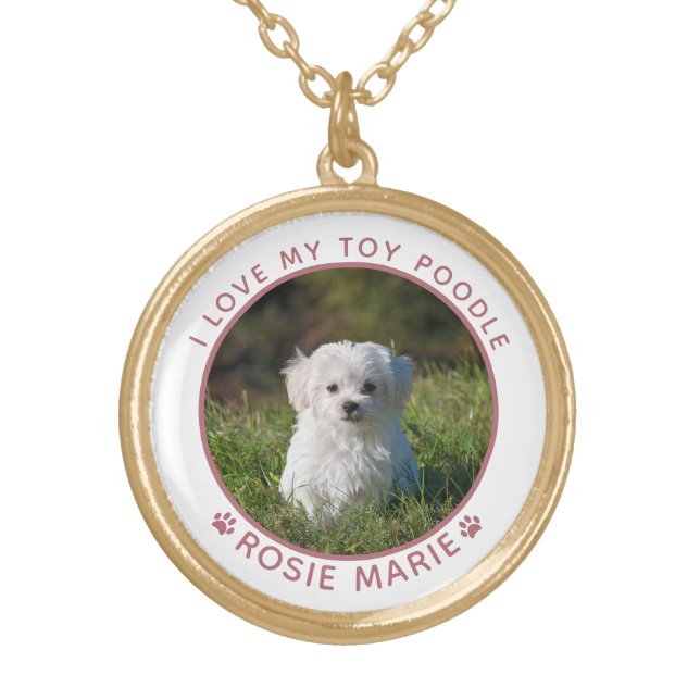 Cute Dog Photo Name Paw Prints Personalized Gold Plated Necklace (Front)