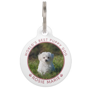 Cute Dog Photo Name Paw Prints Personalized Pet ID Tag