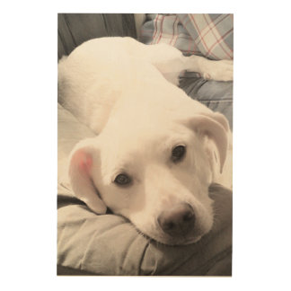 Cute Dog Photo on the Couch with Dad Wood Wall Art